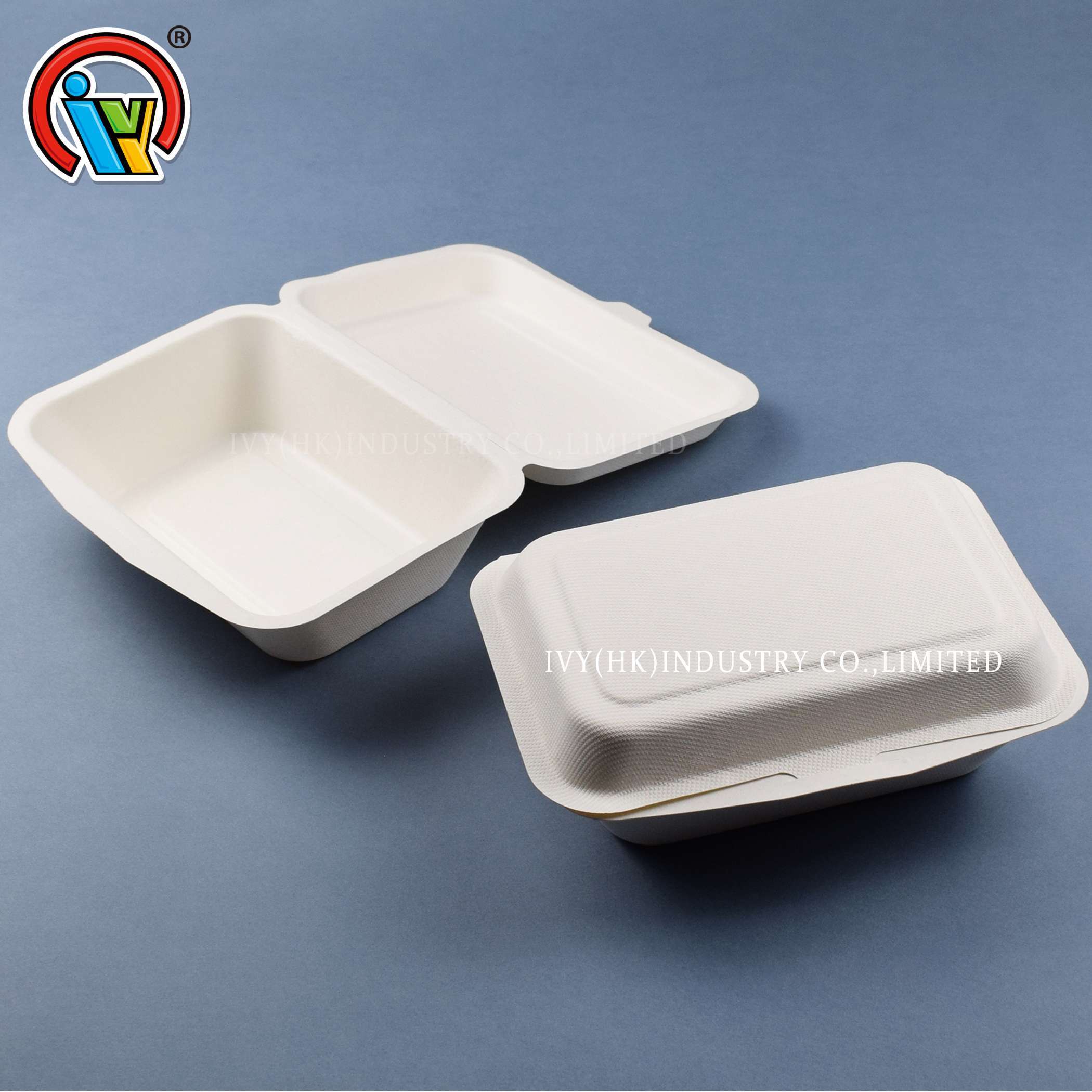 Fiambrera de pulpa de bagazo biodegradable del fabricante de China