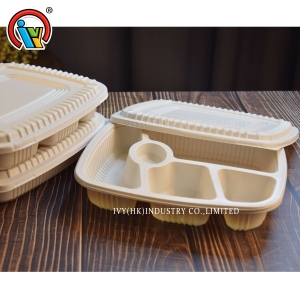 fiambrera de ensalada biodegradable desechable
