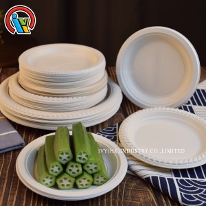 platos desechables biodegradables
