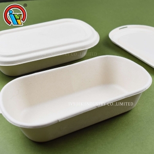 Lonchera biodegradable ecológica