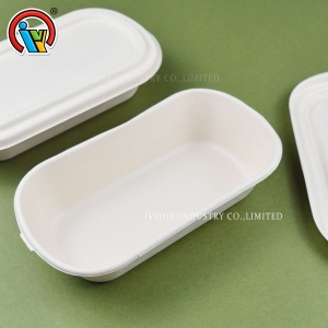 Lonchera biodegradable ecológica