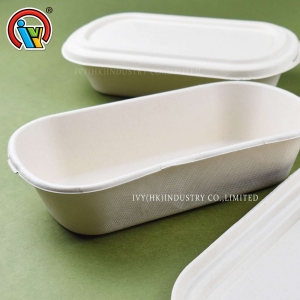 Lonchera biodegradable ecológica