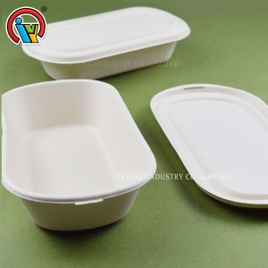Lonchera biodegradable ecológica