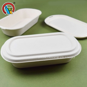 Lonchera biodegradable ecológica